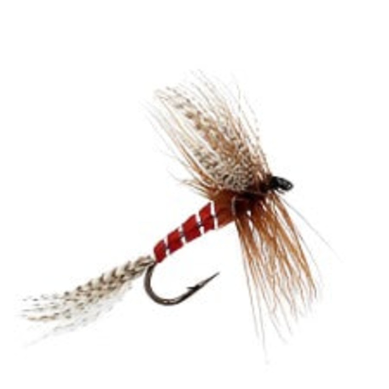 KING OF WATER|10|12|14|16