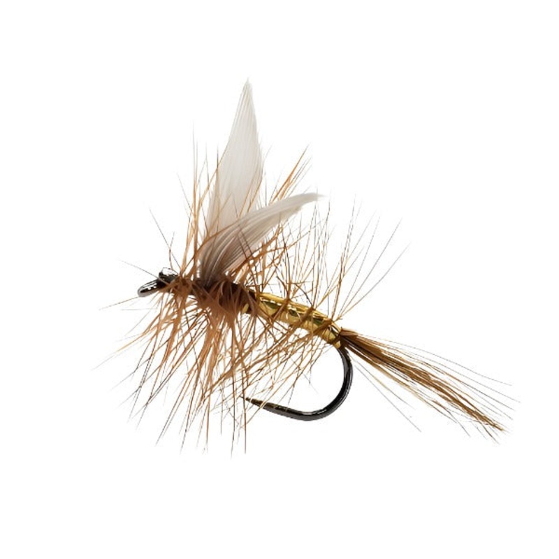 WICKHAMS FANCY|10|12|14|16