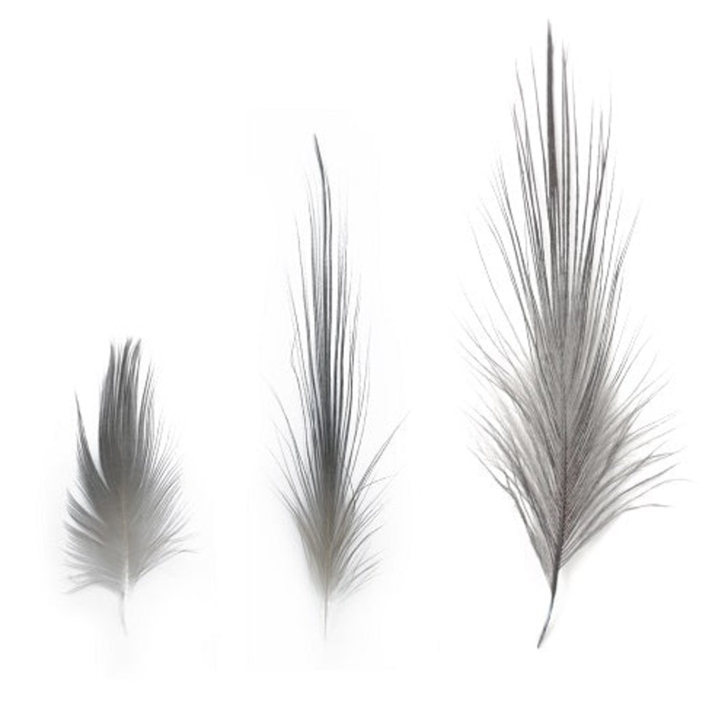 HERON FEATHERS|Black|Natural Gray|Small|Medium / Large|X-Large