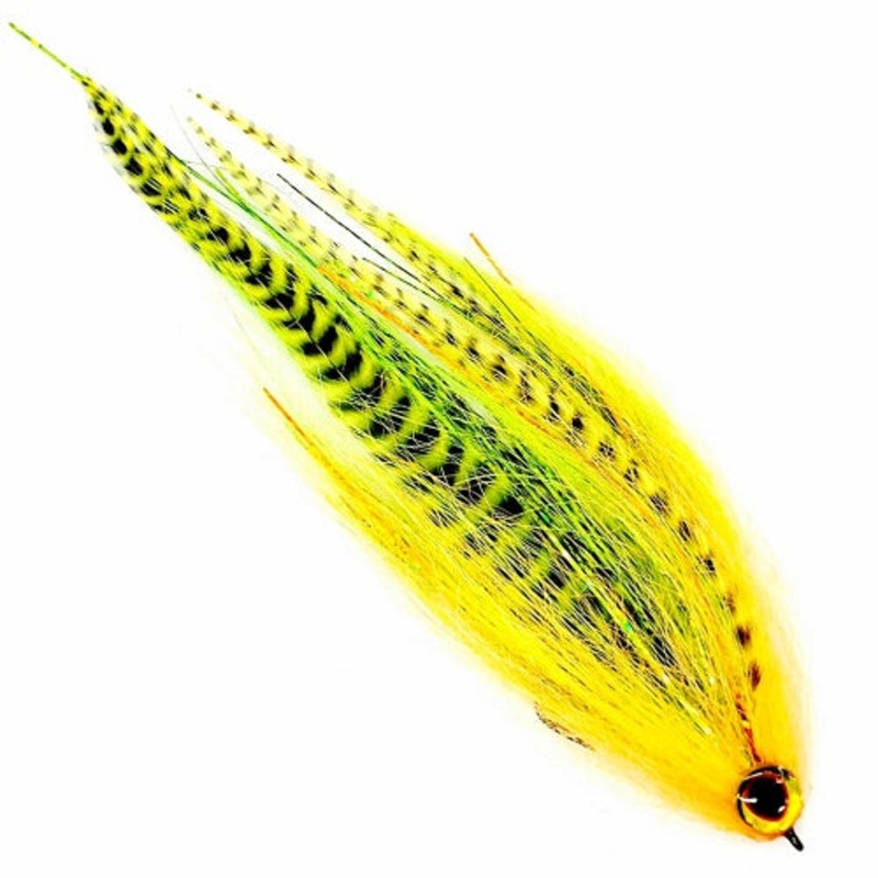 HOLLOW FLEYE – FIRE TIGER