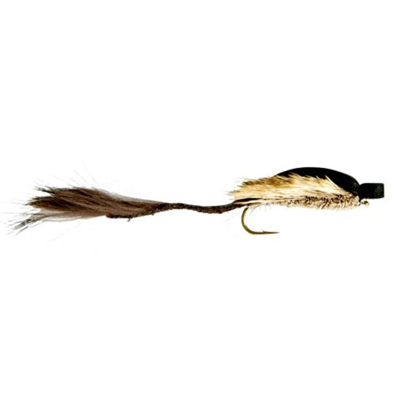 MORRRISH MOUSE|2|4|6