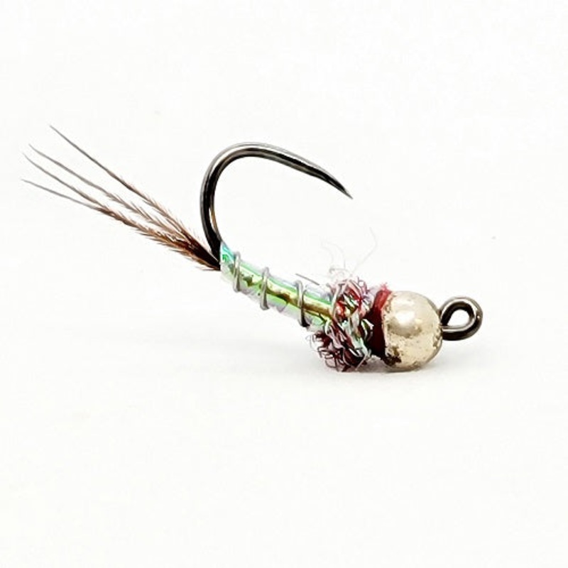 RAINBOW WARRIOR JIG|10|12|14|16