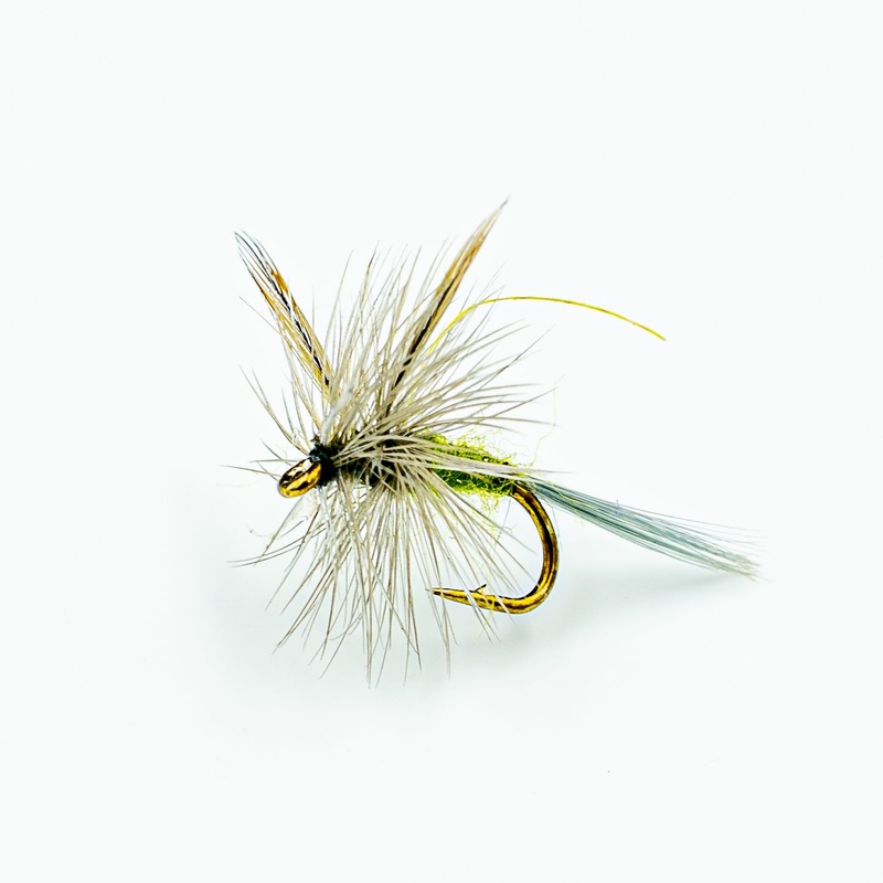 Blue-Winged Olive (BWO)||14