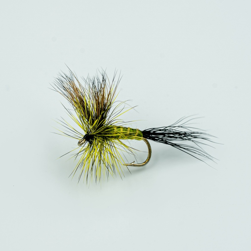 Green Drake||10