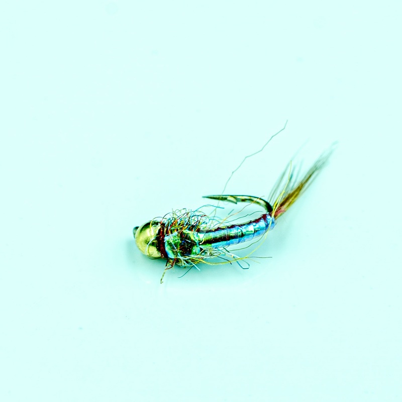 Rainbow Warrior||14||16||18