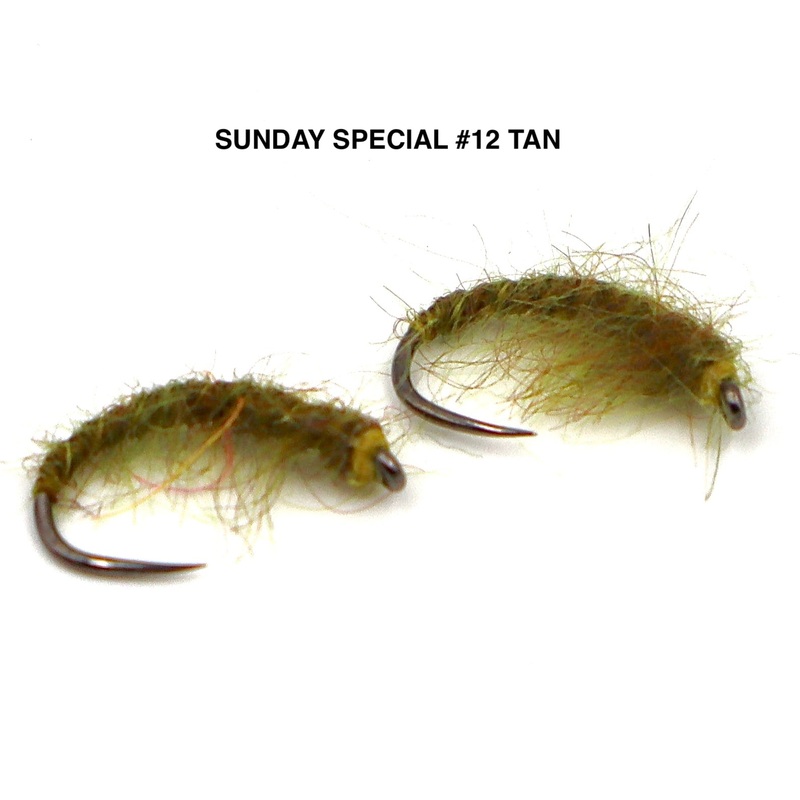 Sunday Special #12