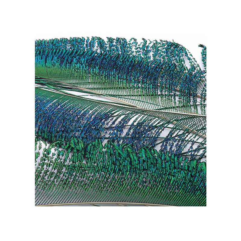 Veniard Peacock Sword tails