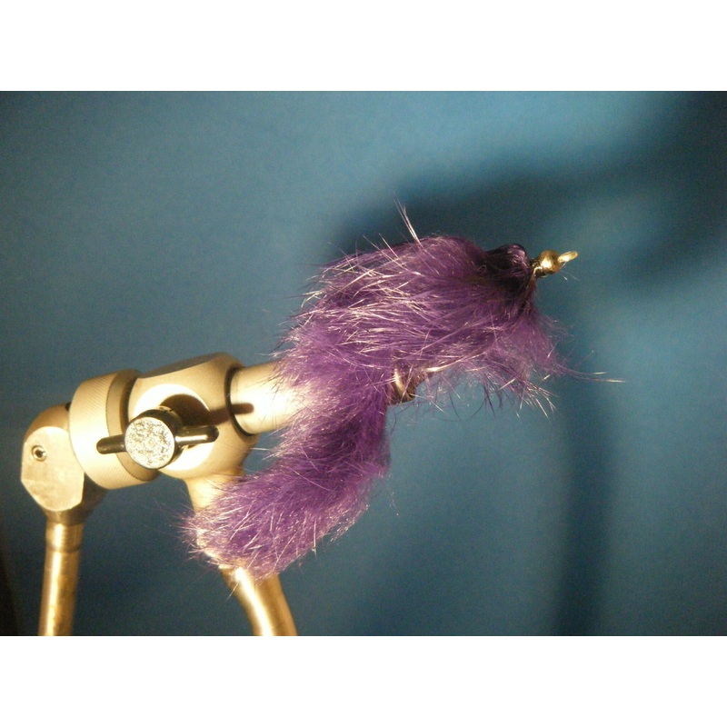 BH Zonker Eel-Purple|2/0