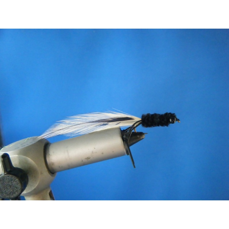 Black Tadpole w/Legs|10