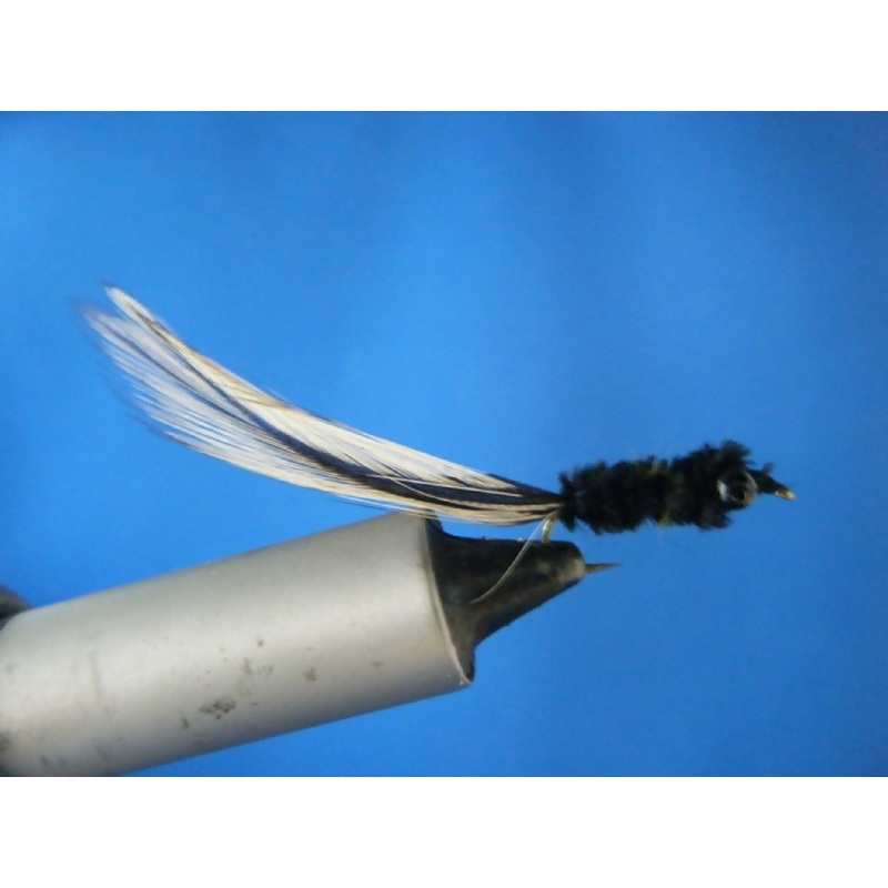 Black Tadpole w/o Legs|10