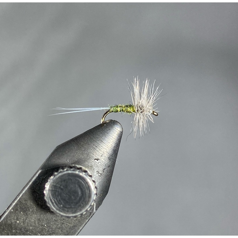 Blue Wing Olive|18|20