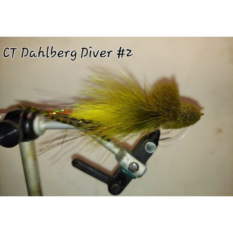 CT Dahlberg Diver|2