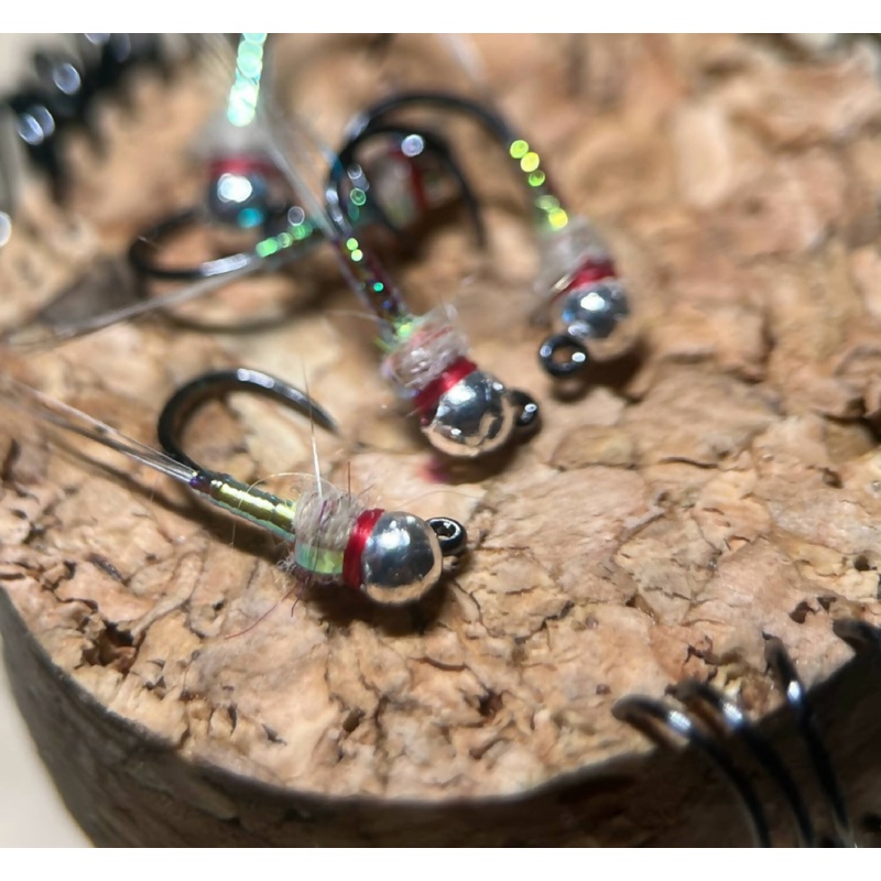 Jigged Rainbow Warrior|16|18