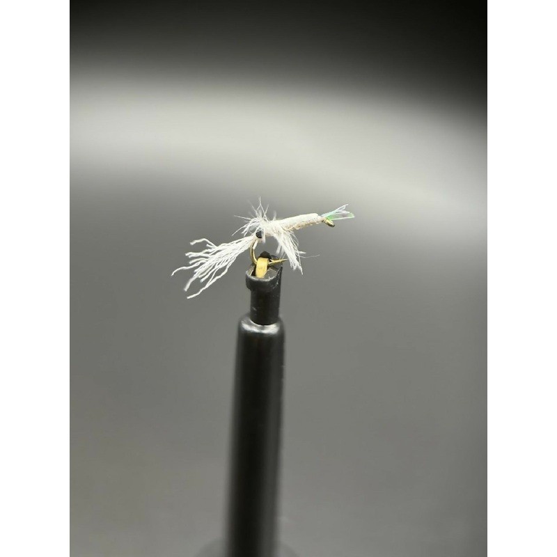 Mysis Shrimp