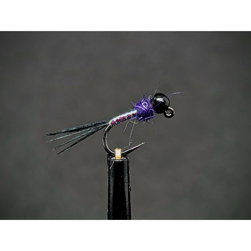 Night Warrior Jig|16