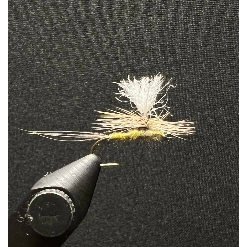 Oh-Chute BWO|14|16|18|20|12