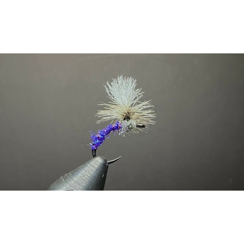 The Purple Hammer|12|14|16|18|20