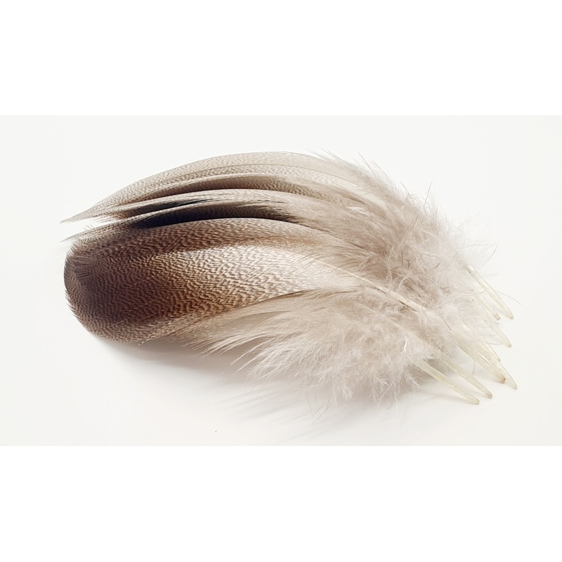 Veniard Bronze Mallard Selected Large Feathers