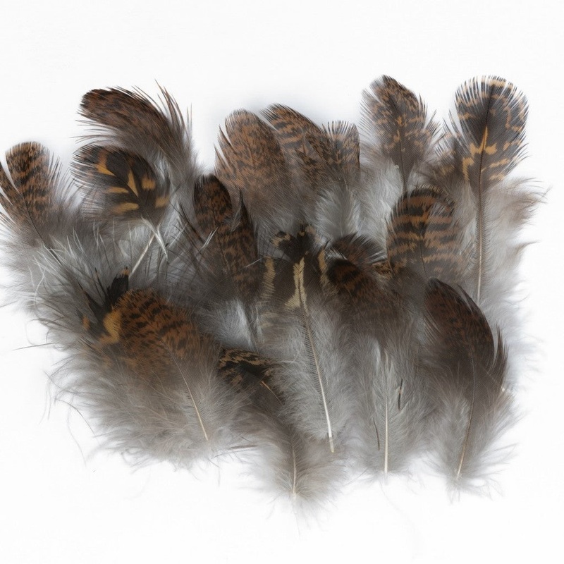 Veniard Grouse body plumage 2 gram