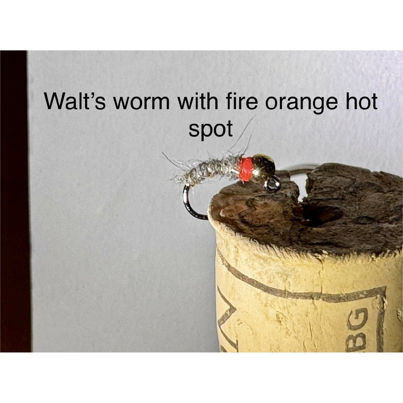 Walts worm|Sz14|Sz12|16|Sz18