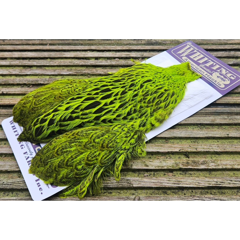 Whiting Farms – American Hen Capes