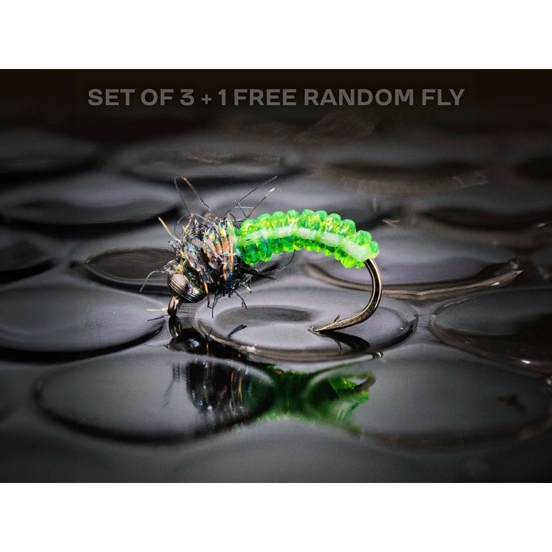 3 Caddis larva + 1 FREE random fly