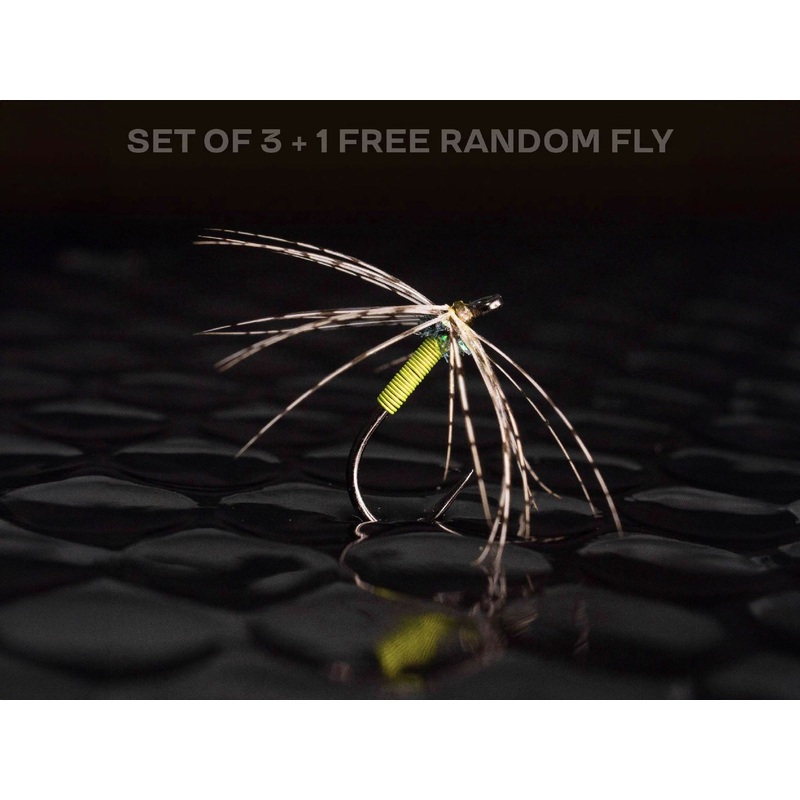 3 Soft hackle + 1 FREE random fly