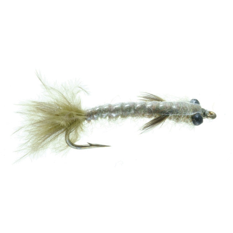 Barr’s Damsel Nymph