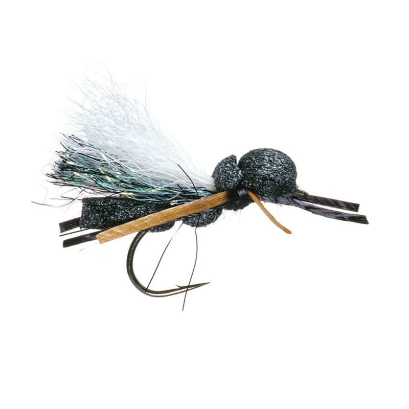 Carl’s Cicada