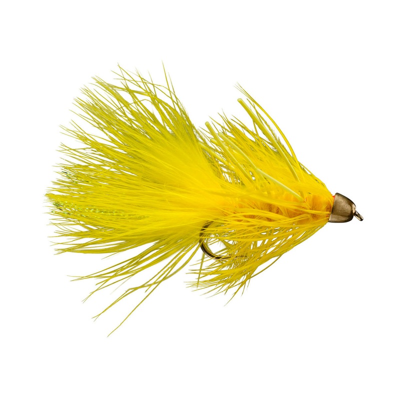 Conehead Yellow Yummy|4|6