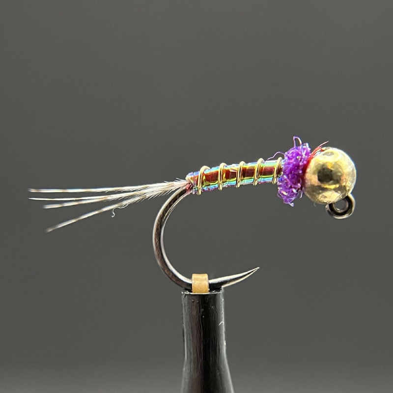 Euro Rainbow Warrior|16|14|12|10|8