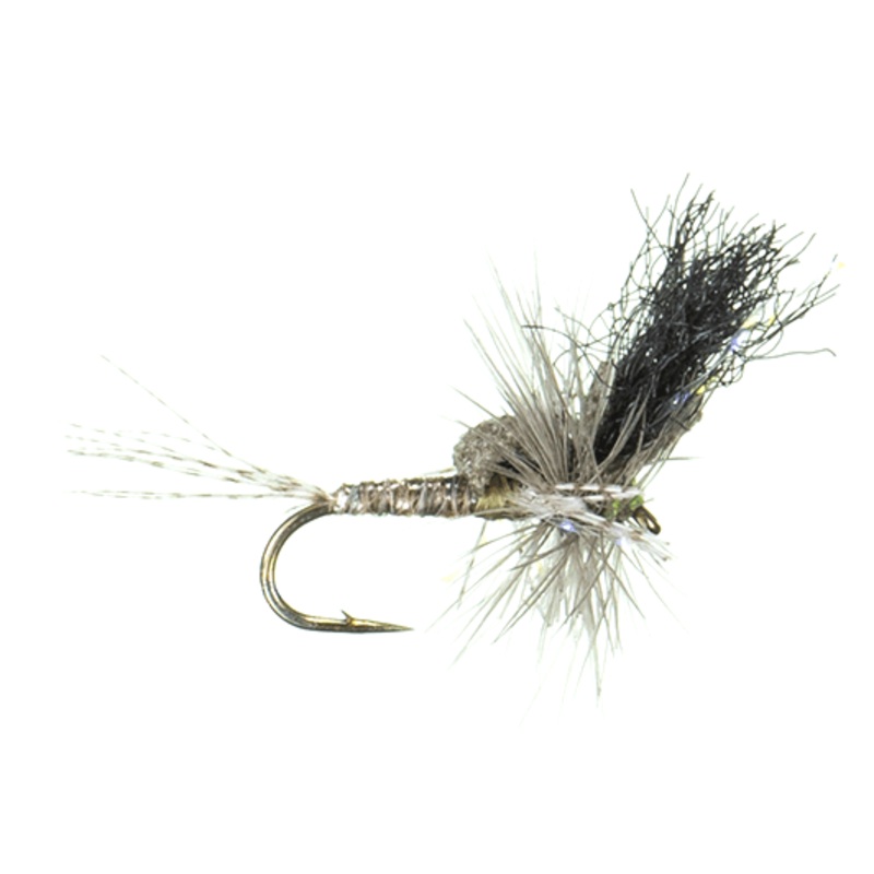 Keller’s Ms. Tickle Cripple, BWO