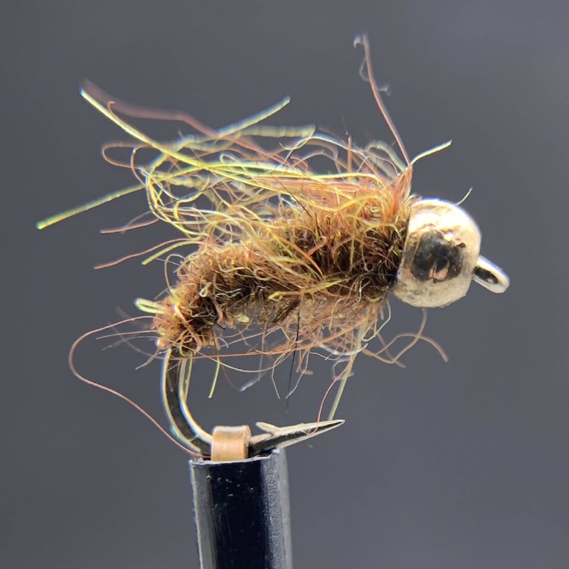 Scruffy Caddis Pupa|16|14|12|10
