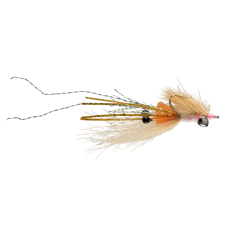 Spawning Shrimp|Tan|White|4|6|8