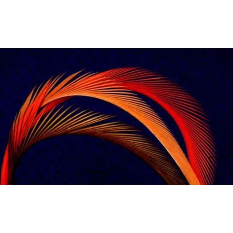 Cascade Goose Biots|Amber|Black|Red|White