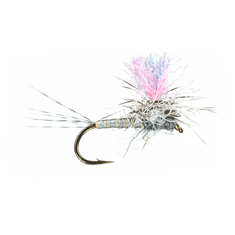 Guide Winna Spinna, Gray Drake