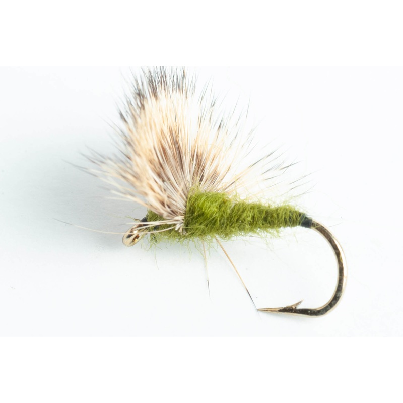Blue-winged Olive (BWO) Comparadun Dry Fly, 6-Pack
