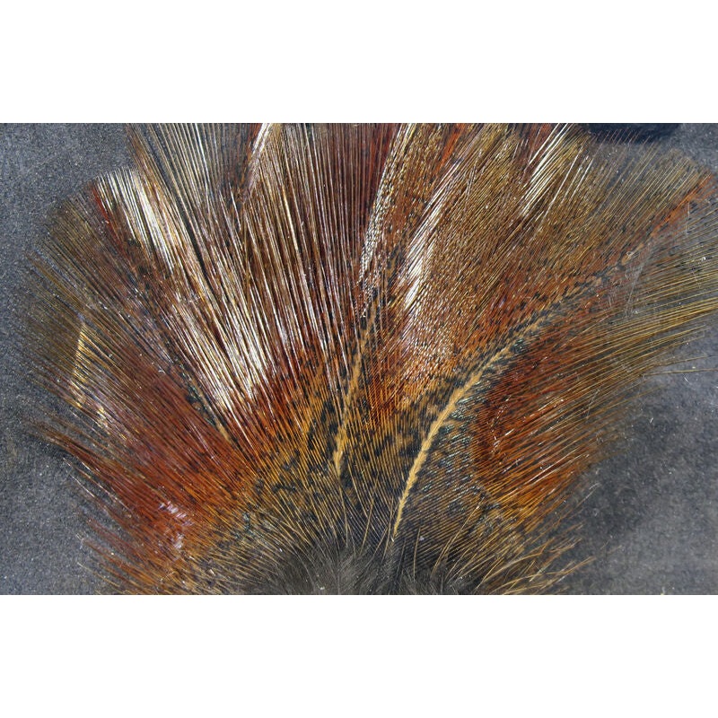 Hareline Coq De Leon|Brown