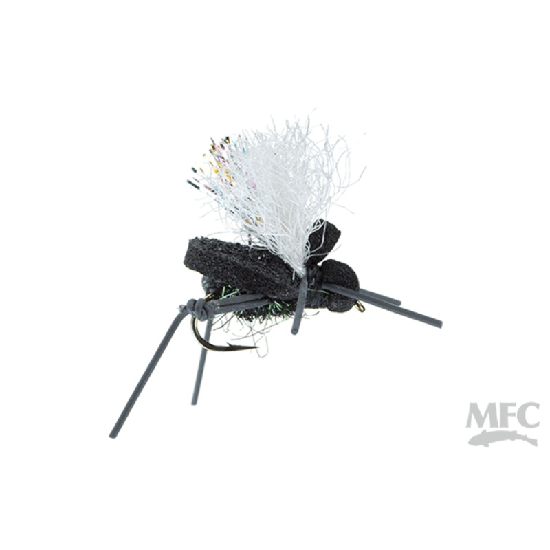 MFC AJ’s Beetle – George (Black Peacock)