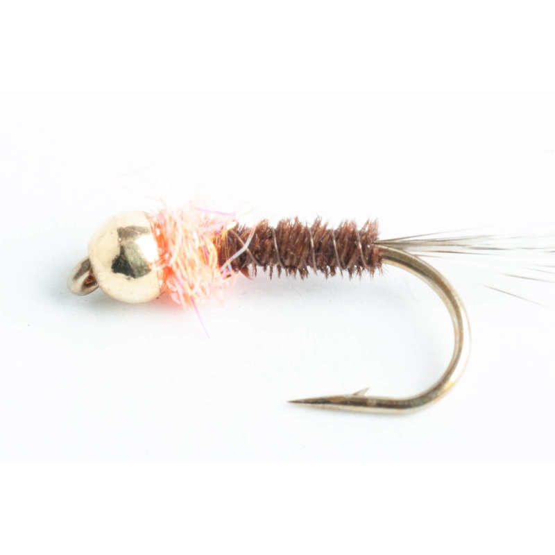 Tungsten BH Frenchie Nymph Fly, 6-Pack
