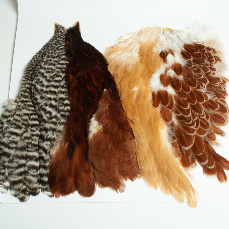 Whiting – Introductory Hackle Pack – Four 1/2 capes – Soft Hackle