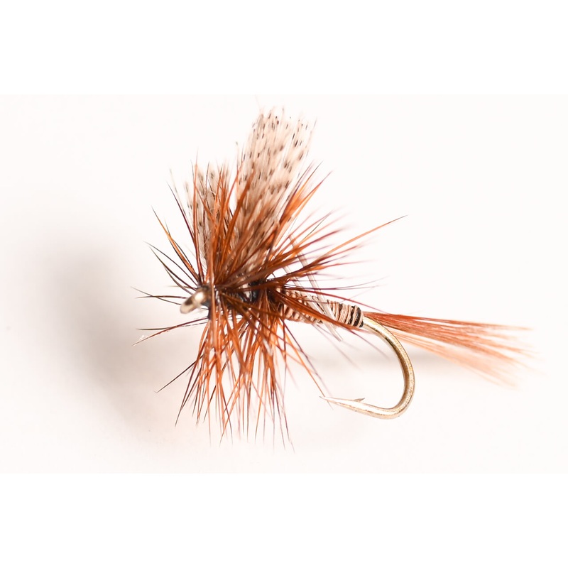 Red Quill Dry Fly, 6-Pack|14||16||18