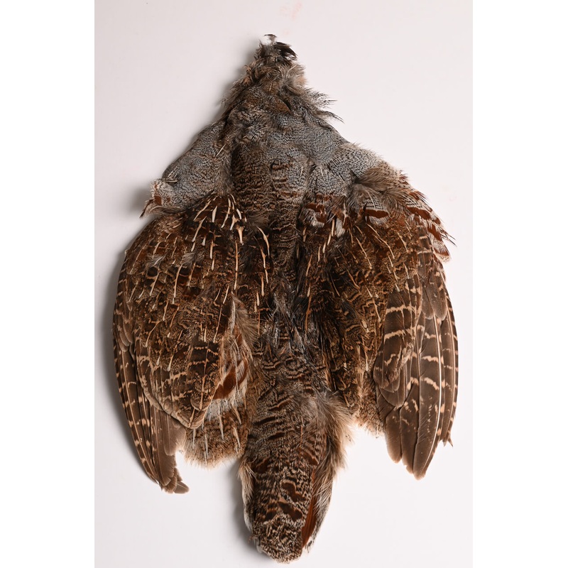 Select Hungarian Partridge Skin, Natural