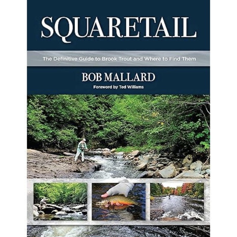 Squaretail: The Definitive Guide to Brook Trout and Where to Find Them, by Bob Mallard