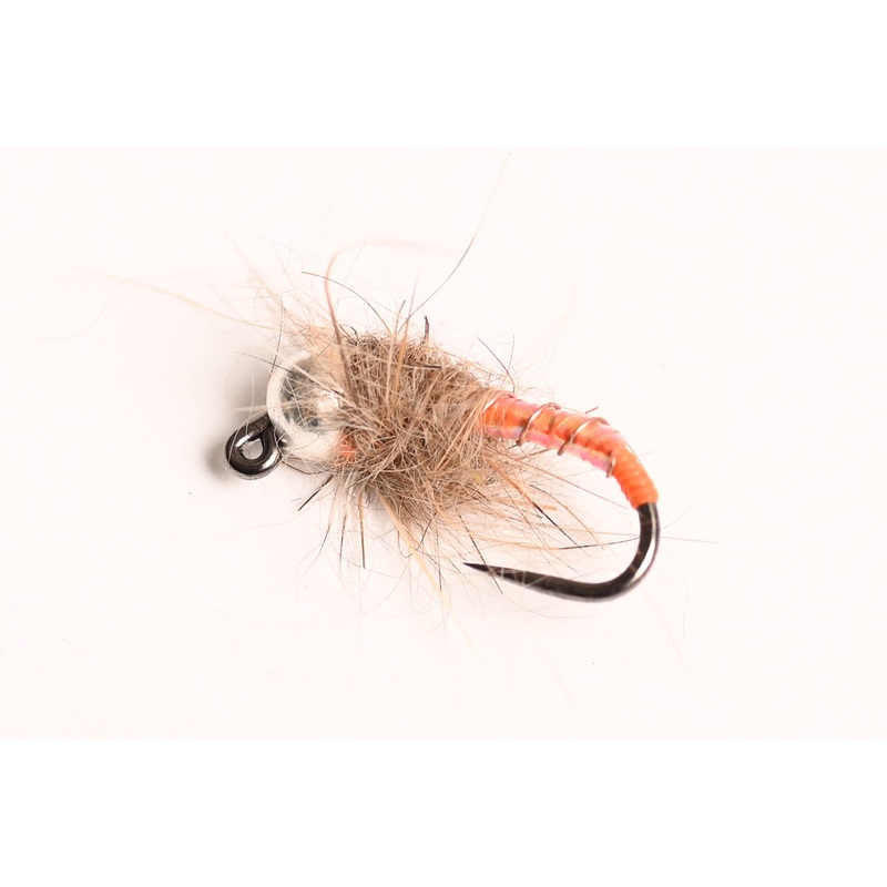 Tungsten BH Czech Caddis Nymph Fly, 6-Pack