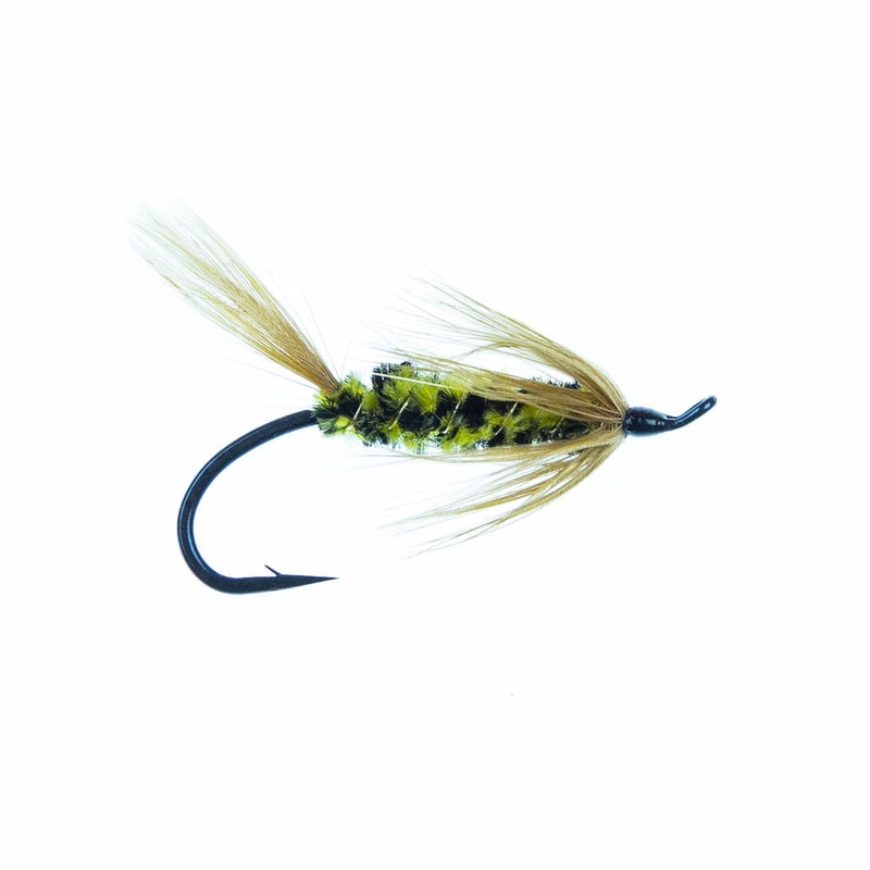 Brindle Bug|6|8