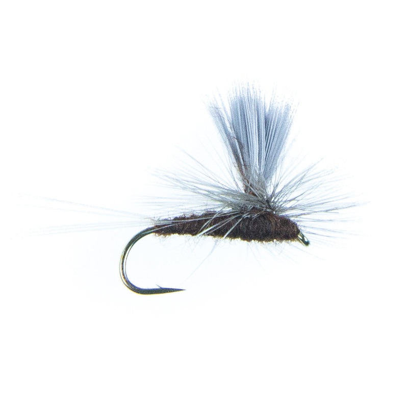 Parachute Mahogany|14|16