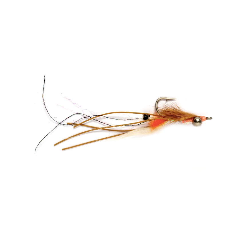 Peterson Spawning Shrimp|Size 2|Size 4|Size 6