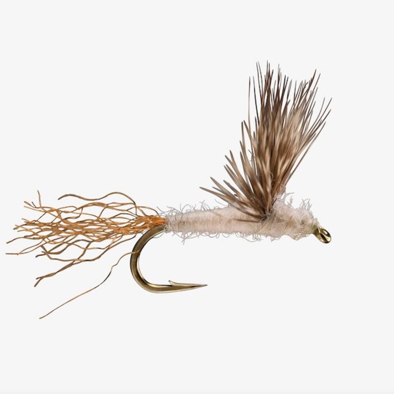 PFG Sparkle Dun – Pale Morning Dun