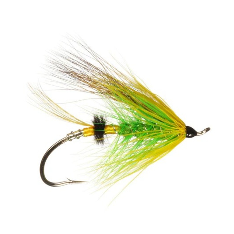 Rainy’s Green Highlander||4||8